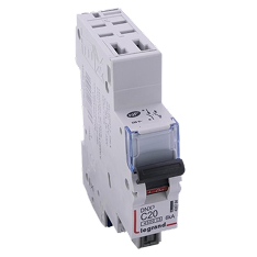 Disjoncteur phase et neutre Legrand